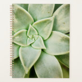 Lente Succulent Planner (Voorkant)
