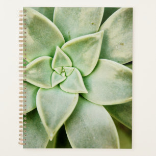 Lente Succulent Planner