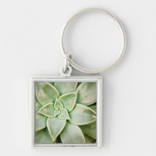 Lente Succulent Sleutelhanger