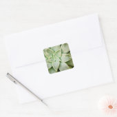 Lente Succulent Vierkante Sticker (Envelop)