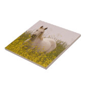 lente tegeltje (Zijkant)