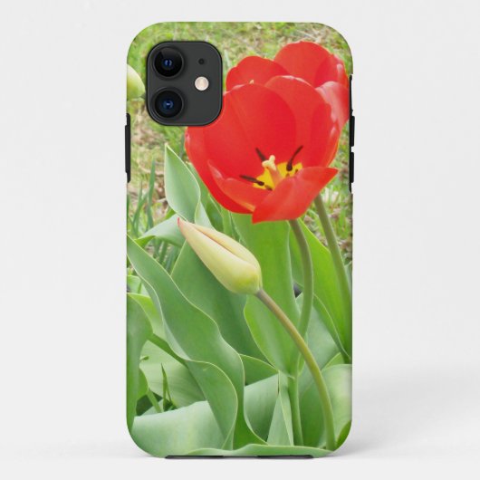 Lente tijd 17 iPhone Case (Achterkant)