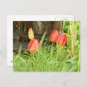 Lente Tijd 2 Briefkaart (Voorkant / Achterkant)