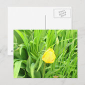 Lente Tijd 5 Briefkaart (Voorkant / Achterkant)