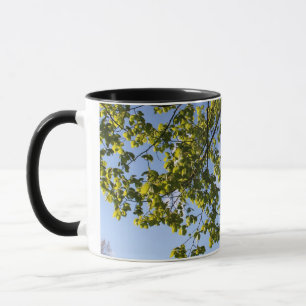 lente tijd, boom tegen blauwe lucht mok