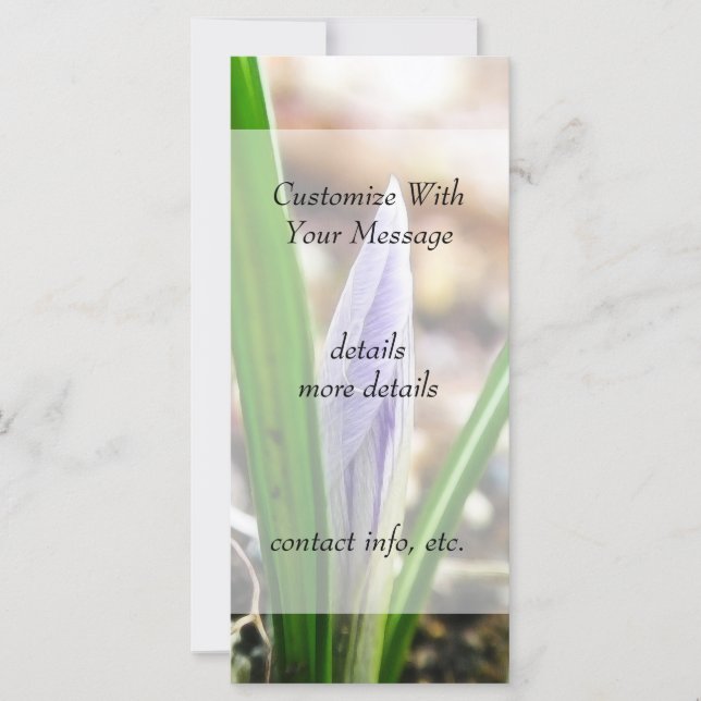 Lente tijd! Crocus Bud (Voorkant)