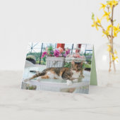 lente tijd kat wenskaart kaart (Gele Bloem)
