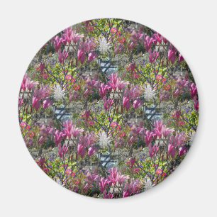 Lente tijd.... magneet