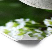 Lente tijd Zen Poster (Hoek)