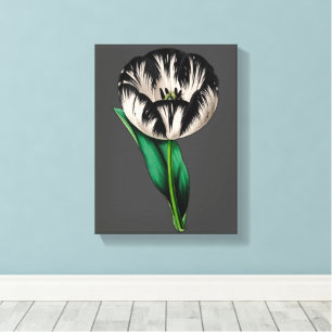 Lente Tuin Tulp Bloemen Canvas Afdruk