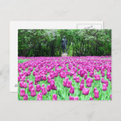 Lente Tulpen in het Briefkaart van de Engelse tuin (Voorkant / Achterkant)