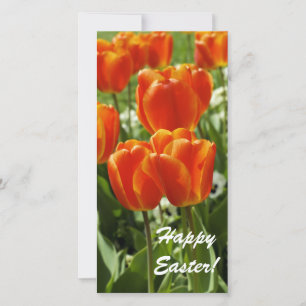 Lente Tulpen Tuin Feestdagenkaart