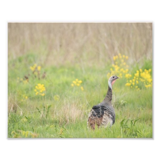 Lente Turkse afdruk - 2 (Voorkant)