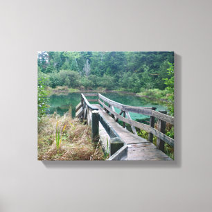 Lente van de Unie - Wilde bekken in het Porcupine Canvas Afdruk