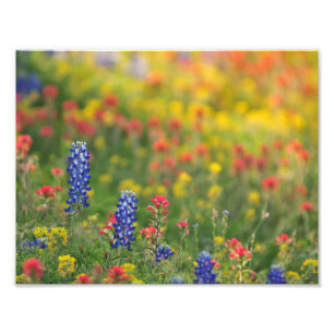 Lente Wildbloemen Foto afdrukken Afdruk