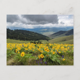 Lente wilde bloemen in de heuvels briefkaart