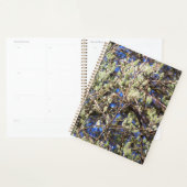 LENTE WILG PLANNER (Display)