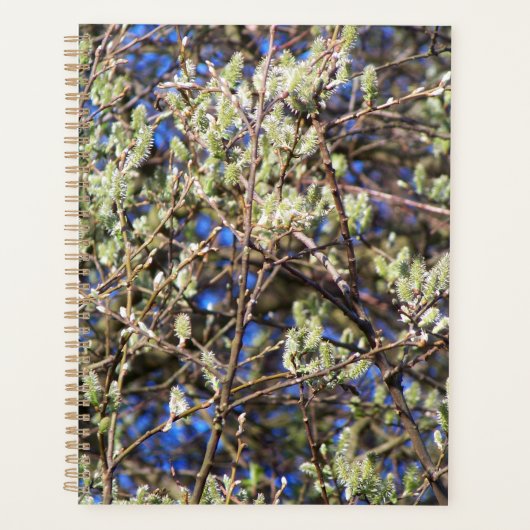 LENTE WILG PLANNER (Voorkant)