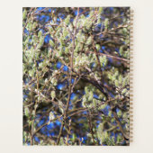 LENTE WILG PLANNER (Achterkant)