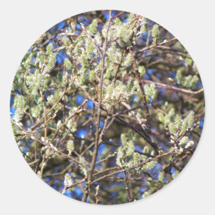 LENTE WILG RONDE STICKER