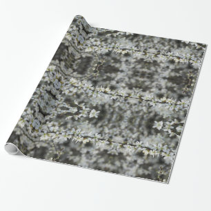 Lente, witte bloesems foto, geschenkpapier cadeaupapier