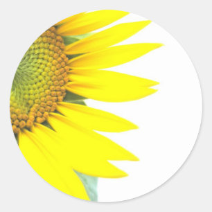Lente zonnebloemen ronde sticker