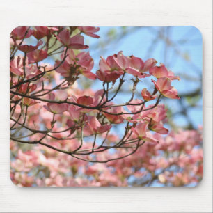 Lentebloeiende muismatten Roze Dogwood Boom