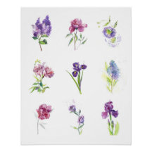 Lentebloemen Botanische Waterverfcollectie