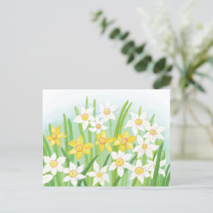 Lentebloemen Narcissen  Briefkaart