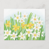 Lentebloemen narcissen briefkaart (Voorkant)