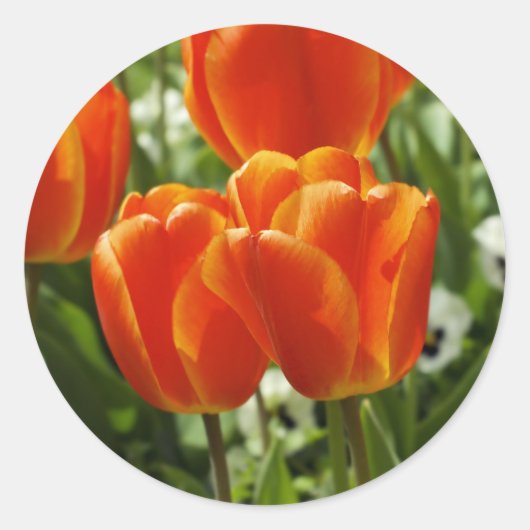 Lentebloementuin Ronde Sticker (Voorkant)