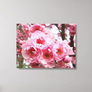 Lentebloesem bloemen canvas afdrukken bloem