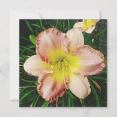 Lentebloesems Kaart (Achterkant)