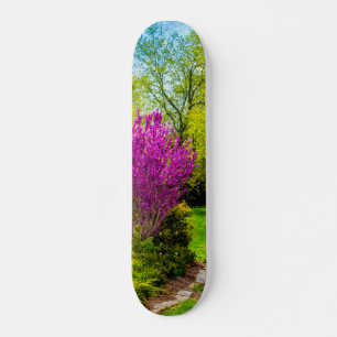 Lentedag Painterly Skateboard