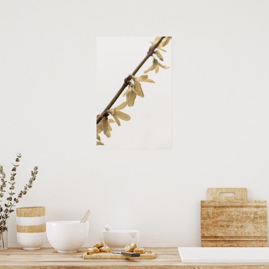 Lentedouches op Forsythia Flowers Poster (Keuken)