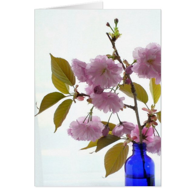 lentekersen (Voorkant)