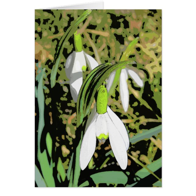 Lentekleuren (Voorkant)