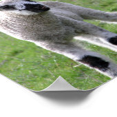 Lentelam - Kunstuitgaven Poster (Hoek)