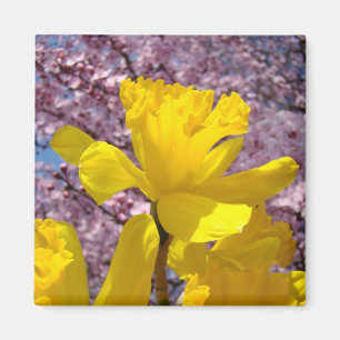 Lentemagneet Gele Narcissen Roze Boom Bloesem Magneet