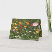 Lentemakkertulpen Oostergeel sinaasappel Bedankkaart (Achterkant)