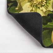 Lenten Roos Hellebore Muismat (Hoek)