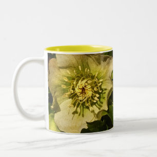 Lenten Roos Hellebore Tweekleurige Koffiemok