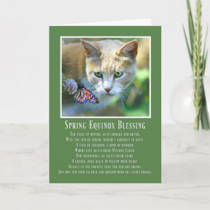 Lentenequinox Ostara Kat en Vlinder Kaart