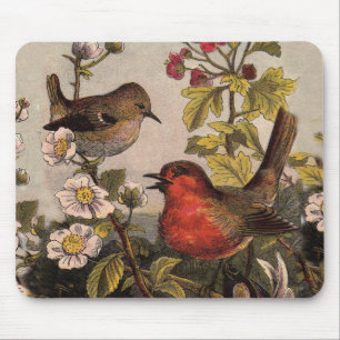 Lenterood robins Rood vogels kijken Muismat