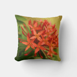 lentesbloemen, easter, spring, natuur, sinaasappel kussen