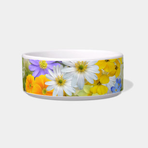 lentesbloemen kattenvoer voerbakje