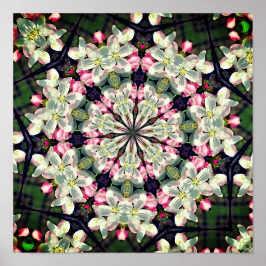  lentesbloesem Abstracte kunst Poster (Voorkant)