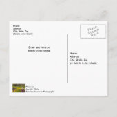 Lenteseizoen Ventilator Briefkaart (Achterkant)