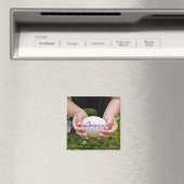 Lenteservuur Magneet (Insitu (Vaatwasser))