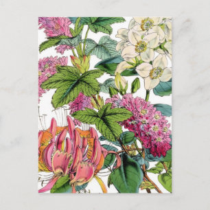lentesFlorals Briefkaart